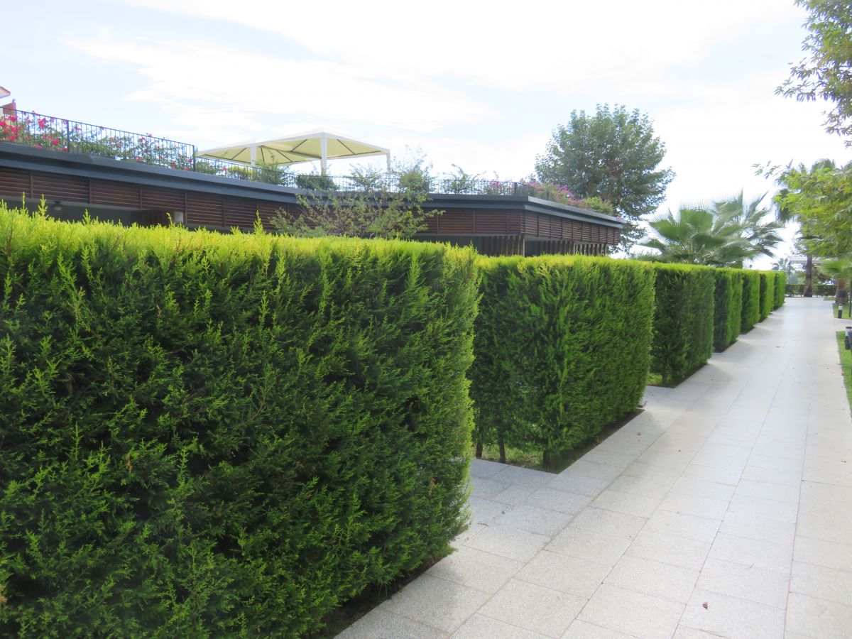 imagini hotel Miramare Beach Side